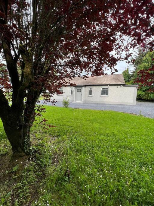 Ballybur Cottage Килкени Екстериор снимка